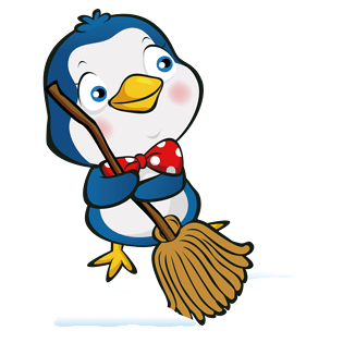 Seattle Home Cleaning Services
